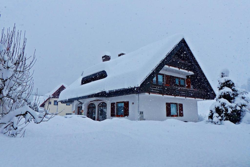 Guest House Alenka Bohinj Buitenkant foto