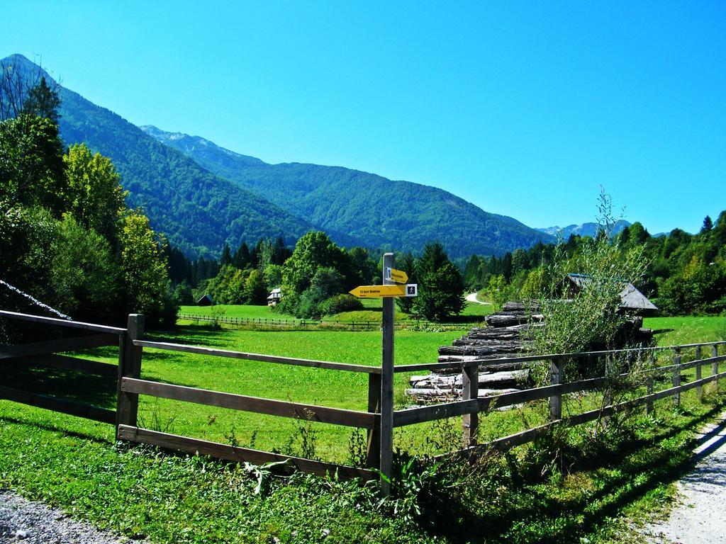 Guest House Alenka Bohinj Buitenkant foto